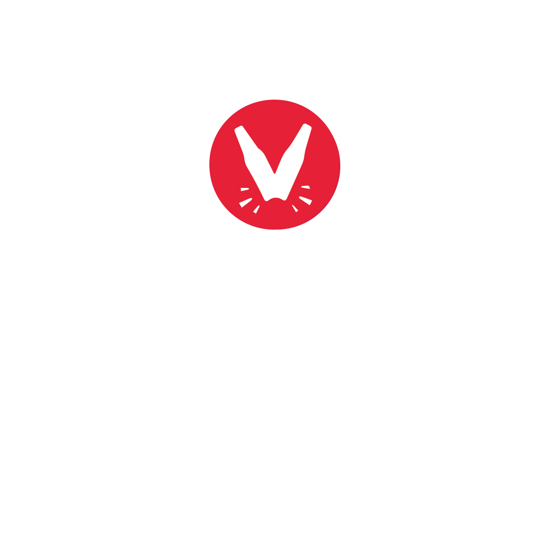 Village Brewery logo